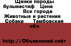 Щенки породы бульмастиф › Цена ­ 25 000 - Все города Животные и растения » Собаки   . Тамбовская обл.